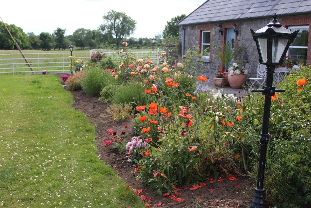 Boyne View House Guest house